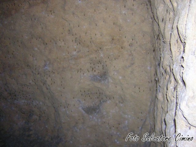 Madrice e dintorni (117) (Copia)
